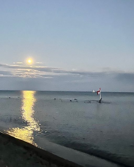 A stunning view of tonight’s Sturgeon Moon over beautiful Lake Ontario. Always and forever, proud to be Canadian. Let us remember that the word Ontario comes from the Wendat word Ontarïio’, meaning “the lake is beautiful, great.”#eastyorktoronto #beachestoronto #kmorrison4bey #beacheseastyork photo credit to my love Siobhán
